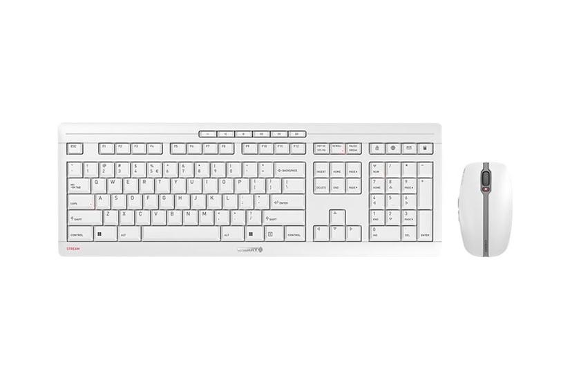 Cherry Stream Desktop Sæt Med Mus Og Tastatur Usa Med Euro-symbol Bleg Grå Indgangsudstyr