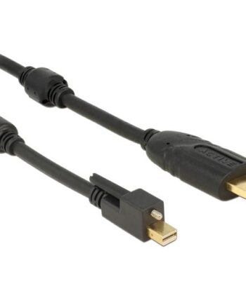 Delock Adapterkabel Displayport   Hdmi