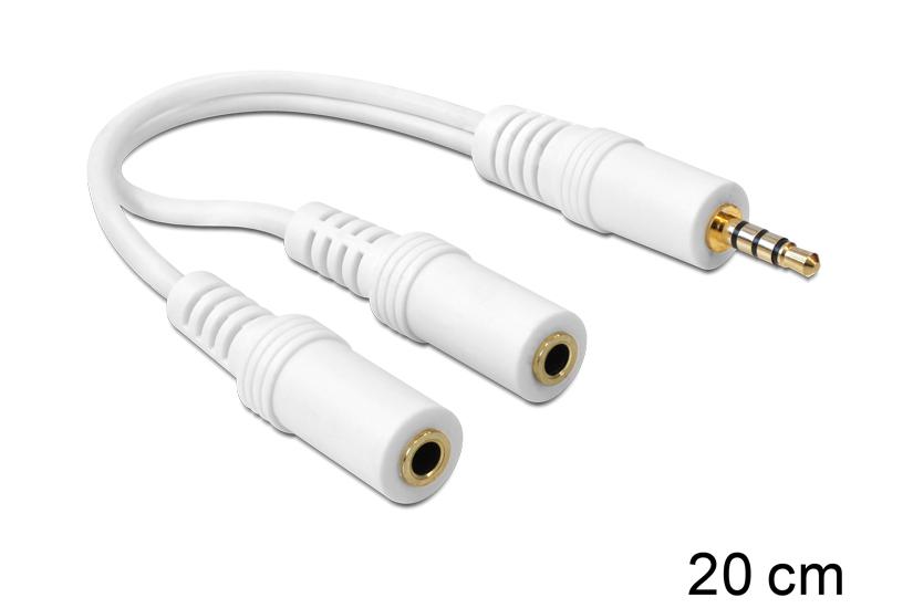 Delock Audiokabel 20 Cm