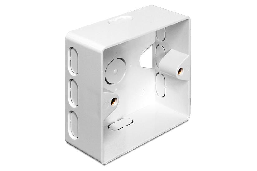 Delock Back Box Overflademonteringsboks For Netværk