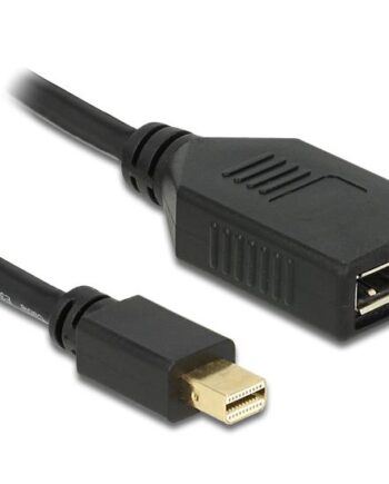 Delock Displayport Adapter 21 Cm