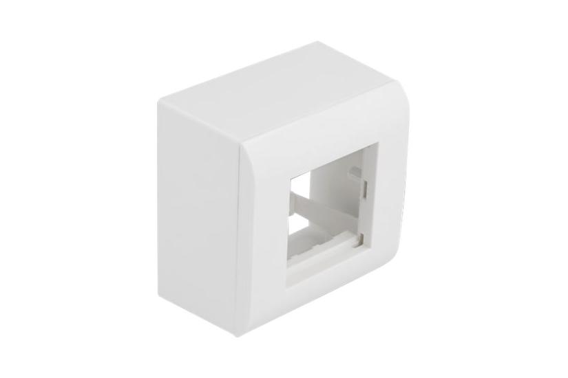 Delock Easy 45 Overflademonteret Boks Hvid Ral 9003