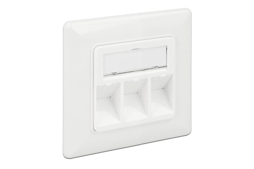 Delock Keystone Wall Outlet Stik Til Montering På Overflade