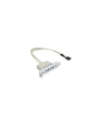 Delock Slot Bracket Usb-kabel Usb Til   Pins Usb Samlekasse 50 Cm