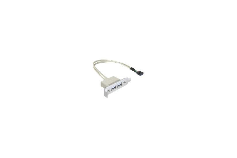 Delock Slot Bracket Usb-kabel Usb Til Pins Usb Samlekasse 50 Cm
