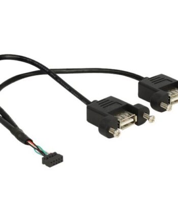 Delock Usb Intern Til Ekstern Kabel 10 Pins Usb-samlekasse Til Usb 25 Cm