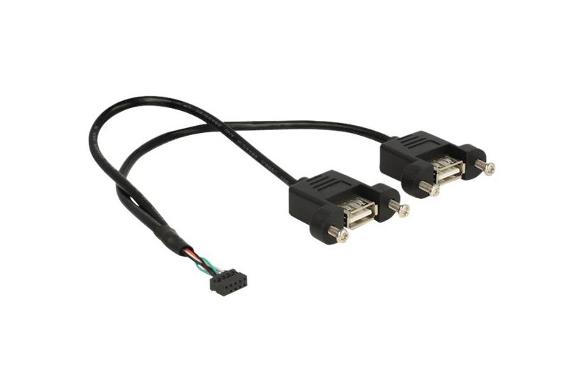 Delock Usb Intern Til Ekstern Kabel 10 Pins Usb-samlekasse Til Usb 25 Cm