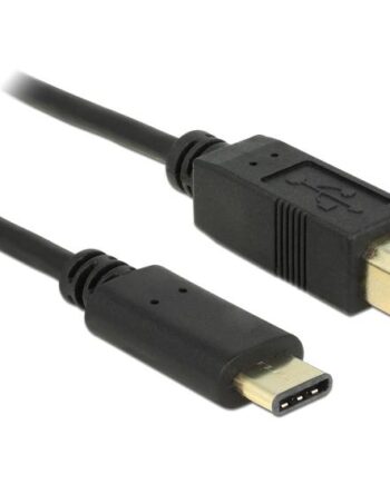 Delock Usb Type-  Kabel 24 Pin Usb-  Til Usb Type