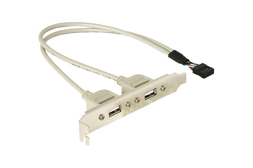 Delock Usb-panel 10 Pins Usb-samlekasse Til Usb 30 Cm