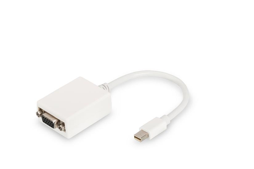 Digitus Displayport Adapter 15 Cm