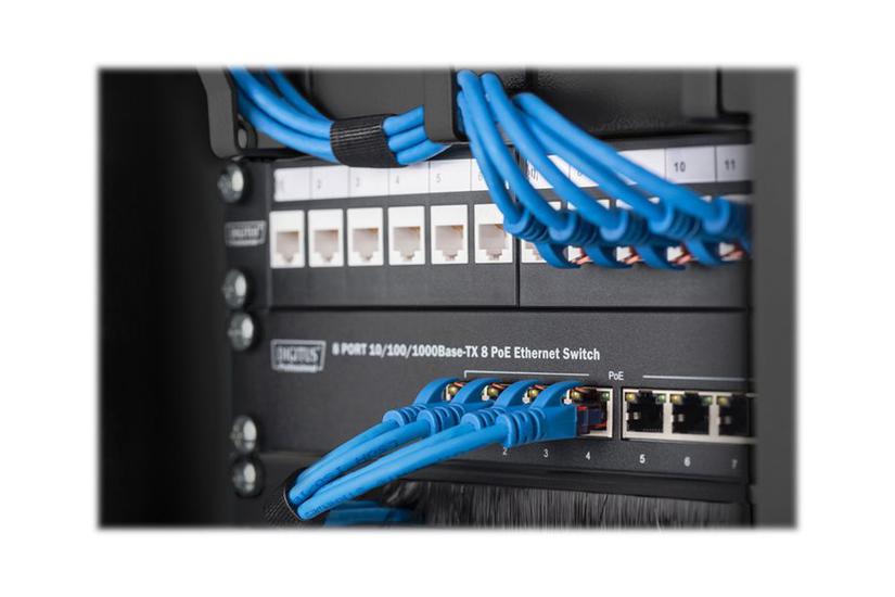 Digitus Dn-10-org-1u- Kabeladministrationspanel Med Ringe 1u 10
