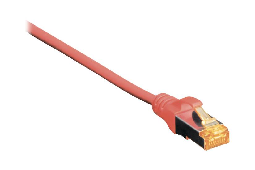 Digitus Patchkabel 50 Cm Rød Ral 3020