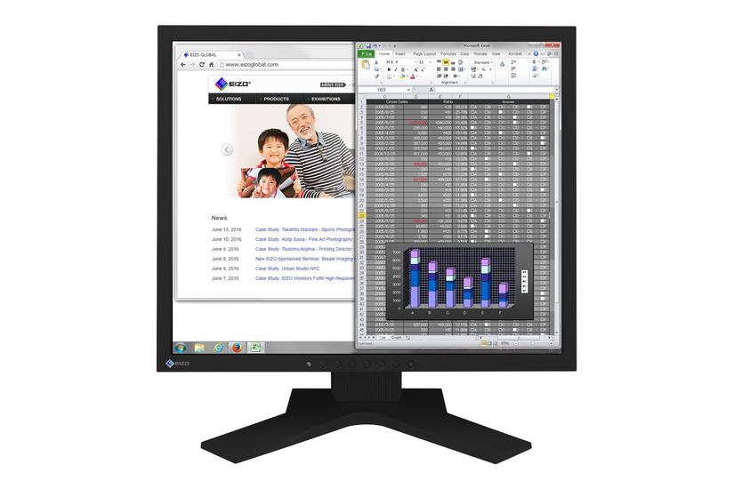 Eizo Flexscan S1934h Skærm Led Baglys 19 Ips 14ms 1280x1024