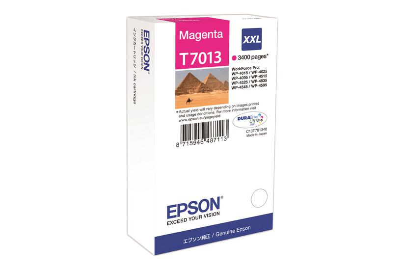 Epson T7013 Størrelse Magenta Original Blækpatron