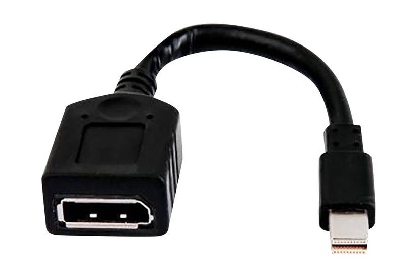 Hp Displayport Adapter