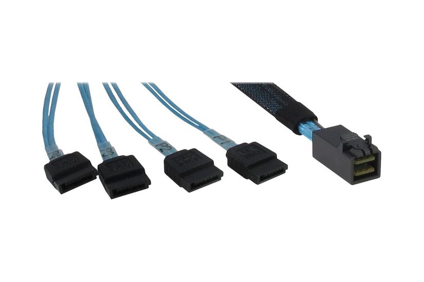 Inter-tech Ata Sas-kabel 50 Cm