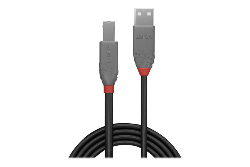 Lindy Anthra Line Usb-kabel Usb Til Usb Type