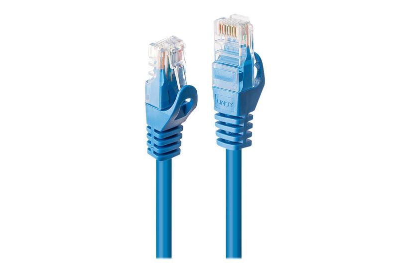 Lindy Basic Patchkabel Blå
