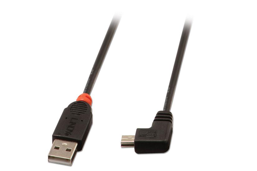 Lindy Usb-kabel Usb Til Mini-usb Type 50 Cm