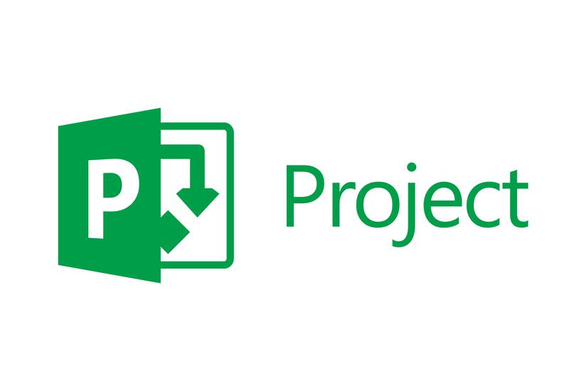 Microsoft Project Online Professional Licensabonnemet Bruger