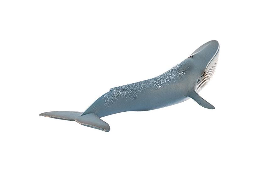 Schleich Wild Life Blåhval Actionfigur