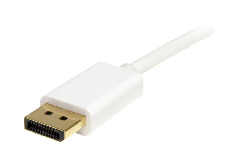 Startech Com 1m Ft White Mini Displayport To Displayport Adapter Cable Displayport 4k With Hbr2 Support Mini Dp To Dp Cable Mdp2dpmm1mw Displayport Kabel