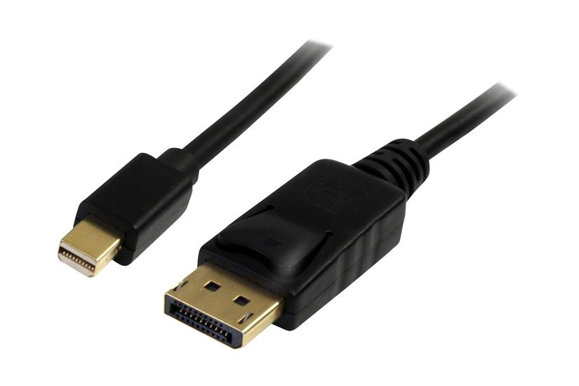 Startech Com 3m Mini Displayport To Displayport Cable Displayport 4k Displayport Kabel