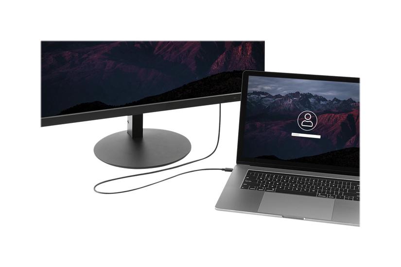 Startech Com Usb To Displayport Cable