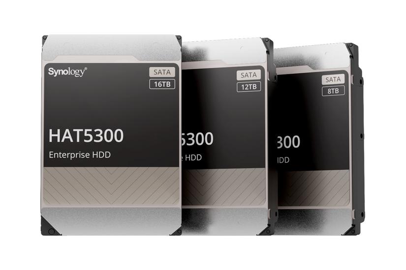Synology Hat5300 12 Tb Sata Gb