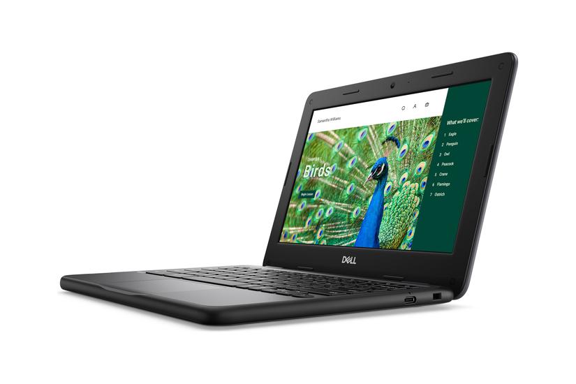 Dell Chromebook 3120 2024 Bærbar Pc Intel -series N100 Gb Lpddr5 64 Gb Emmc 11 Tn