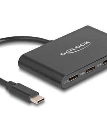 Delock Hub 10 Gbps   Porte