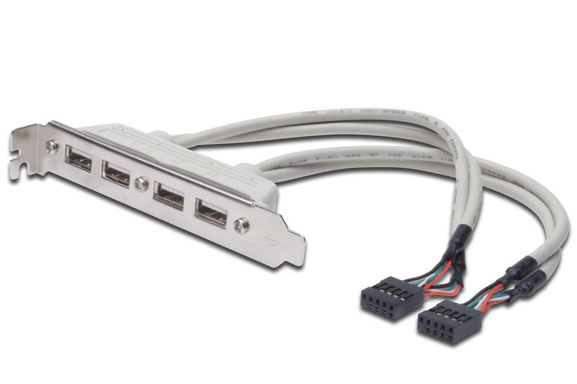 Digitus Ak-300304-002- Slot-udvider