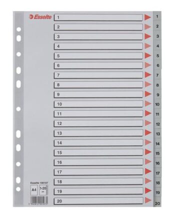 Esselte Deler 20 Dele For A4 Med Faneblade Grå