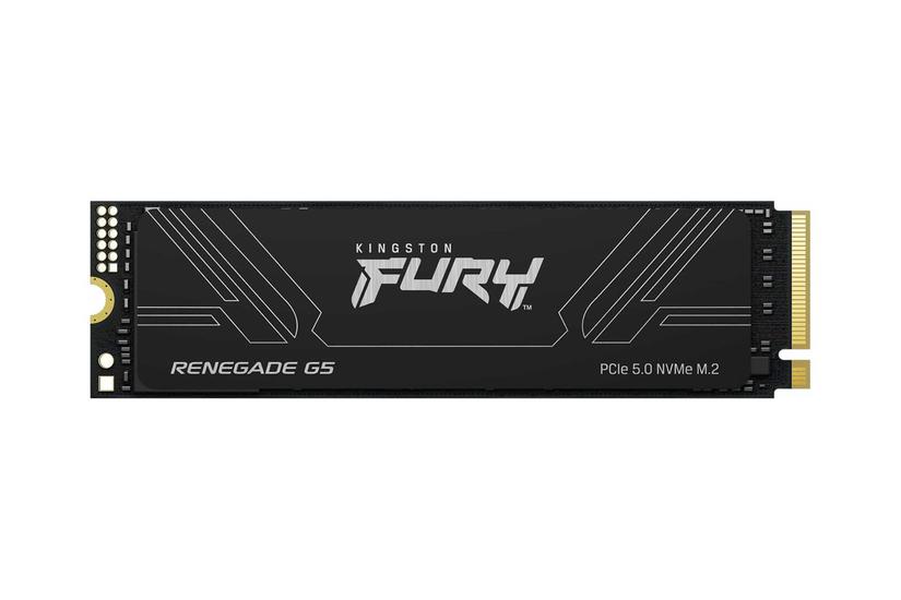 Kingston Fury Renegade G5 Tb Ssd Pci Express X4 Nvme Card