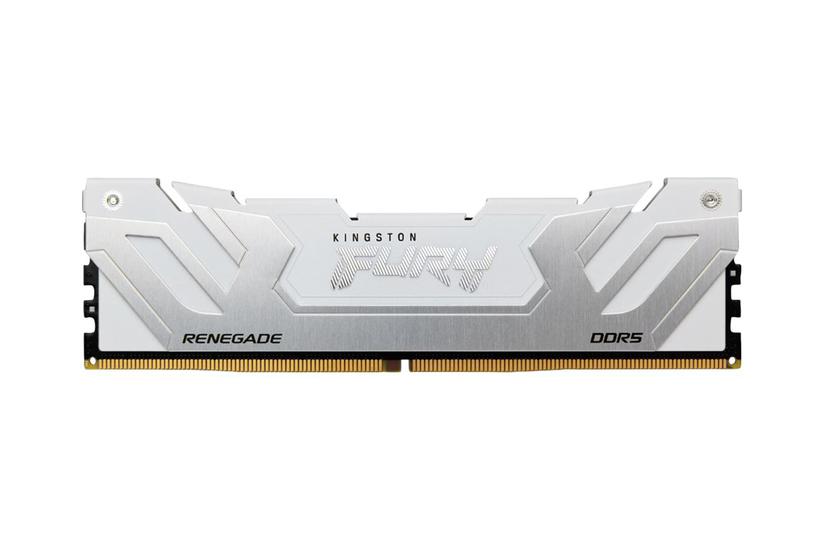 Kingston Technology Fury 24 Gb 8000 Mt Ddr5 Cl38 Dimm Renegade Hvid