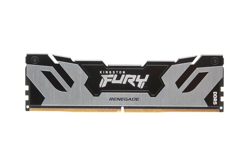 Kingston Technology Fury 24 Gb 8000 Mt Ddr5 Cl38 Dimm Renegade Sølv