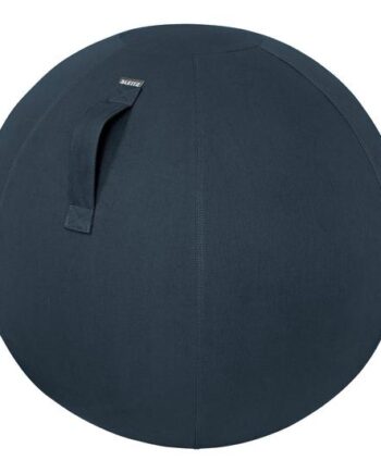 Leitz Ergo Cosy Træningsbold 65 Cm Diameter Fløjlsgrå