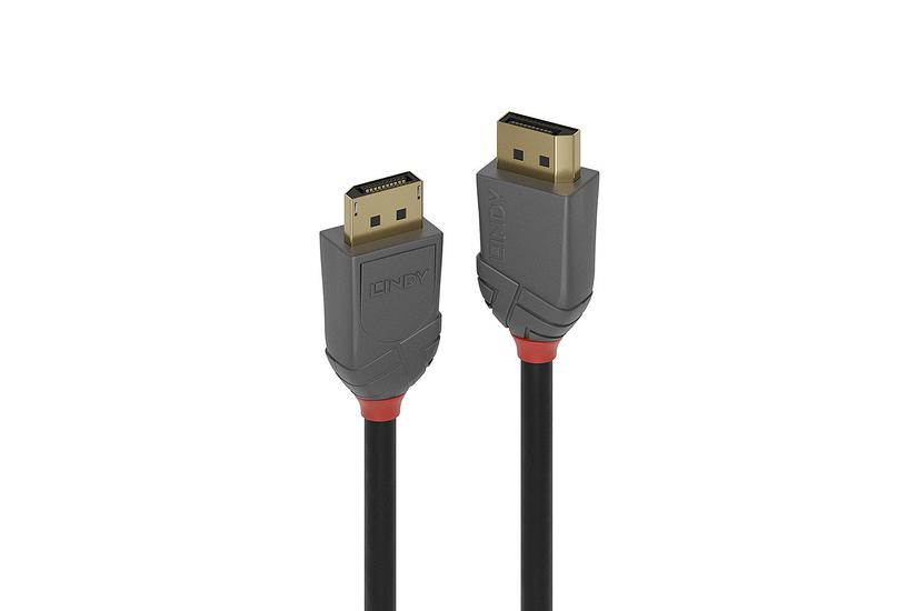 Lindy 36480 Displayport Kabel Sort