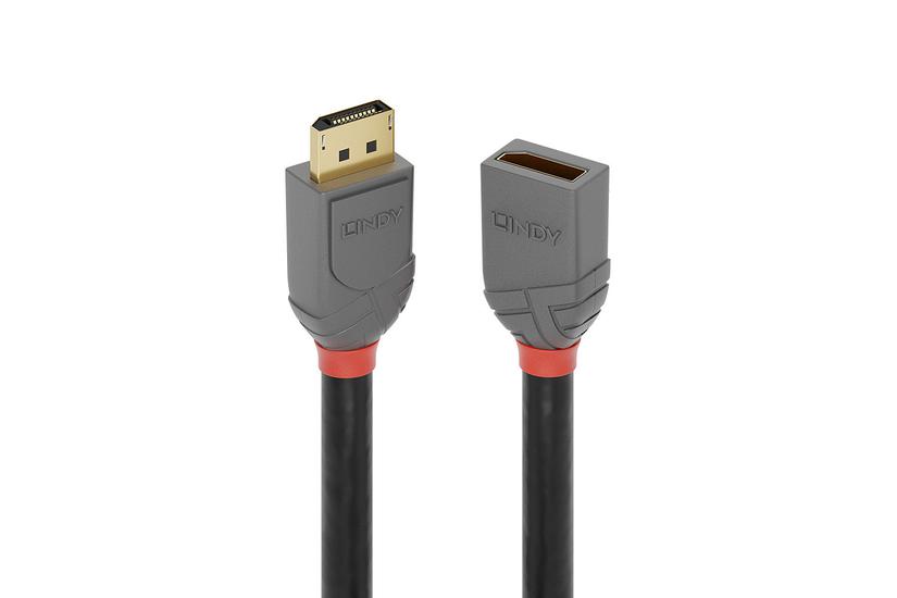 Lindy 36495 Displayport Kabel Sort