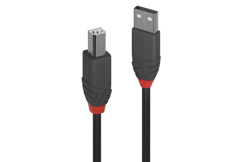 Lindy 36675 Usb-kabel Usb Usb Usb Sort