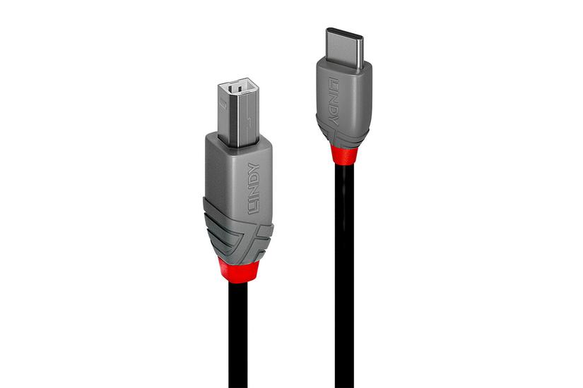 Lindy 36941 Usb-kabel Usb Usb Usb Sort