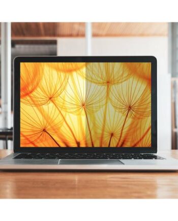 3m Bright Screen Privacy Filter Bærbar Pc Privacy-filter