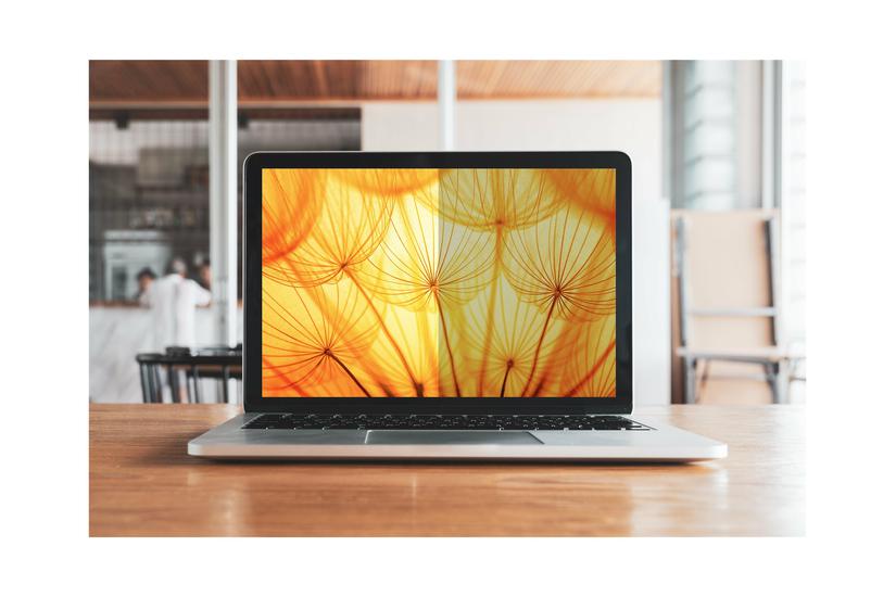 3m Bright Screen Privacy Filter Bærbar Pc Privacy-filter
