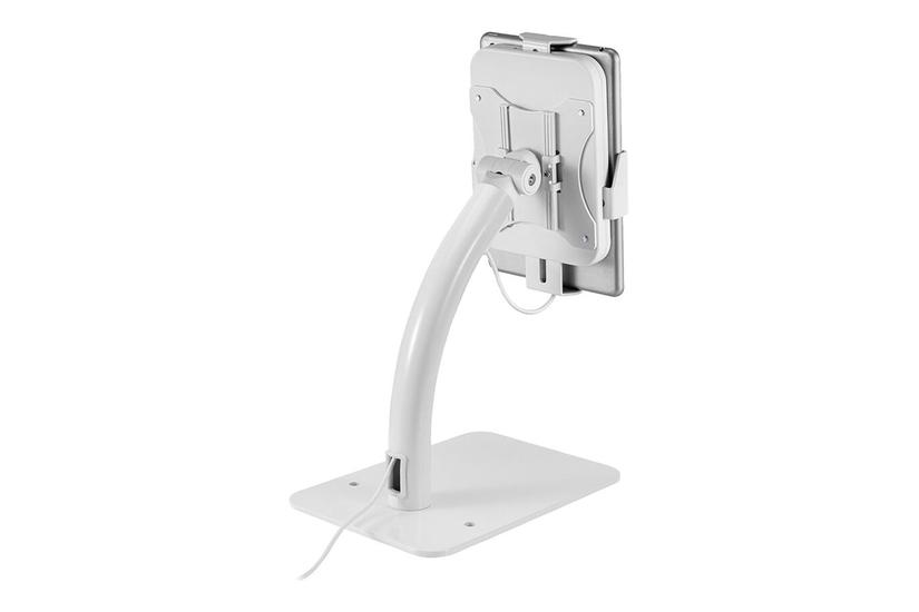 Neomounts Ds15-625wh1 Stativ For Tablet Hvid