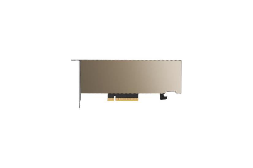 Nvidia A2 Gpu Beregningsprocessor Lavprofil Blæserløs 16gb Gddr6 Nvidia A2 Pci Express X8