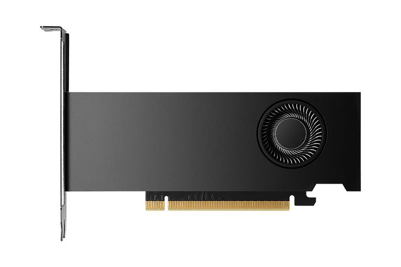 Nvidia Rtx 2000 Ada Generation Grafikkort 16gb Gddr6 Nvidia Rtx 2000 Ada Pci Express X8