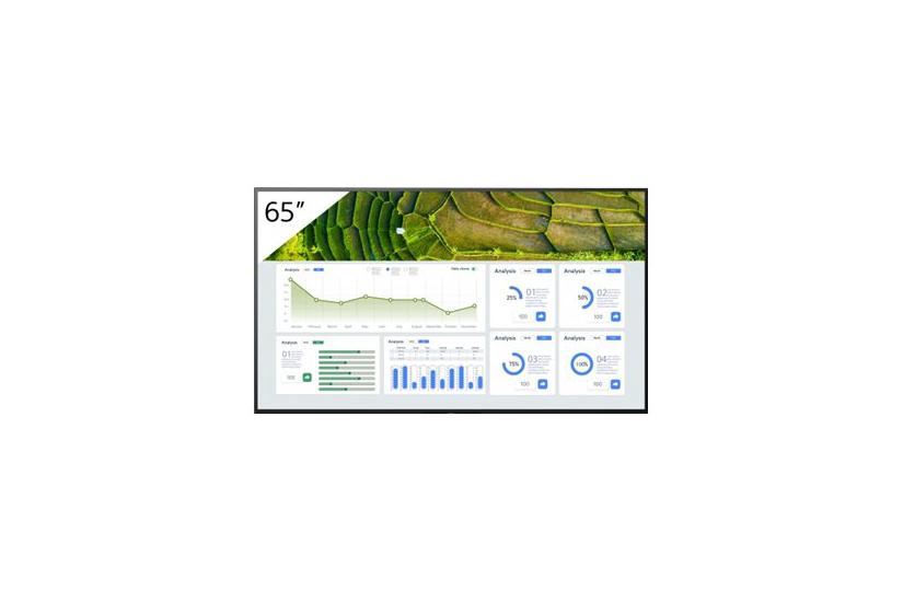 Sony Bravia Professional Displays Fw-65bz30l Bz30l Series 65 Quot Led-bagbelyst Lcd Paneldisplay 4k For Digital Skiltning
